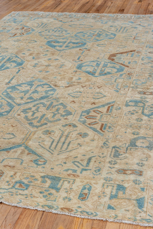 Vintage Baktiary Area Rug (7' x 10')